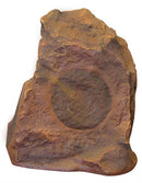 Speco SPRK65CBT 6.5" High-Performance Coaxial Rock Speaker w/Transformer, 75 Watts,Brown